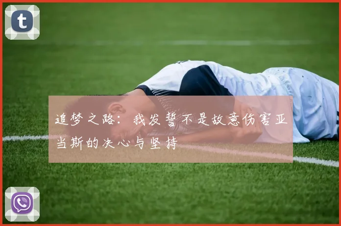 追梦之路：我发誓不是故意伤害亚当斯的决心与坚持